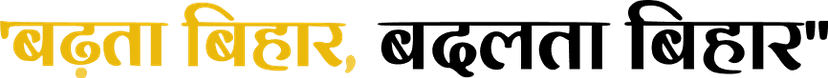 Section Decoration